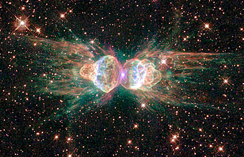 The Ant Nebula